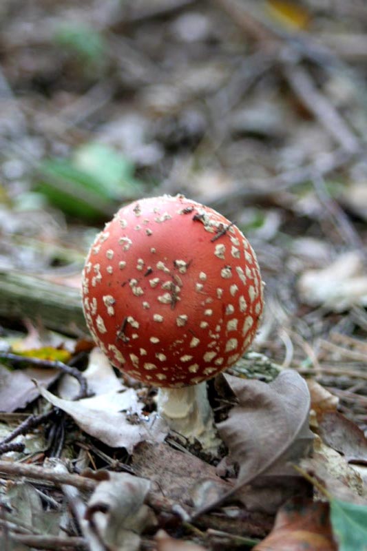 Killikus&reg; Fotographie